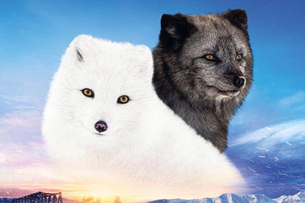 Kino: MAX & MÁJA – PŘÍBĚH LIŠTIČEK
