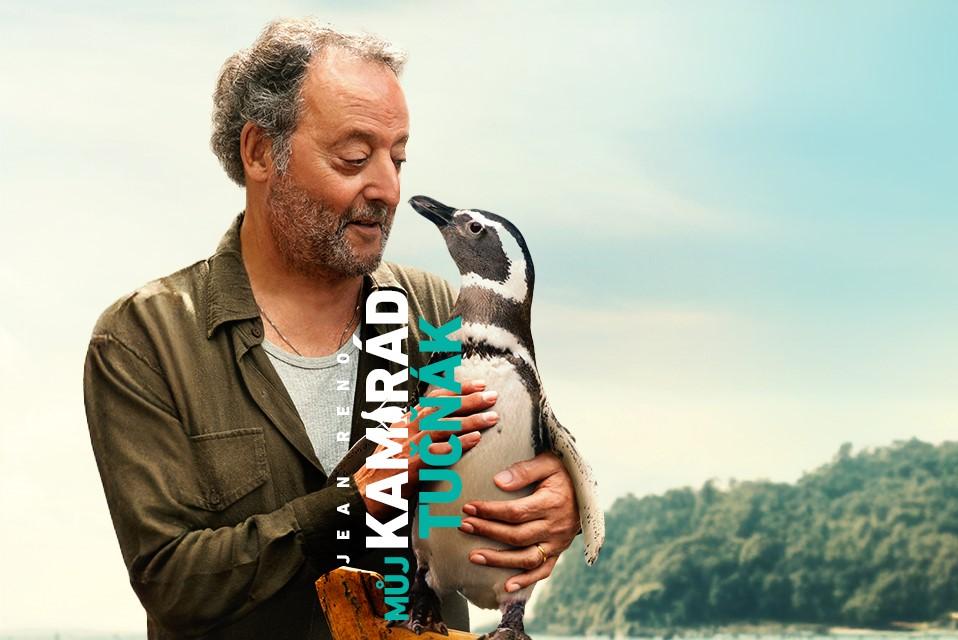 Kino: MŮJ KAMARÁD TUČŇÁK